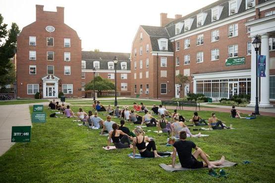 数十名newbb电子平台的学生在日出时在户外练习瑜伽
